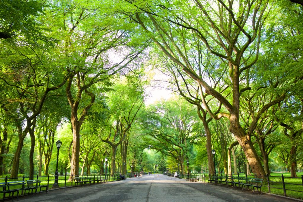 alice-roberts-therapy-002